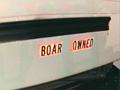 Boar Owned